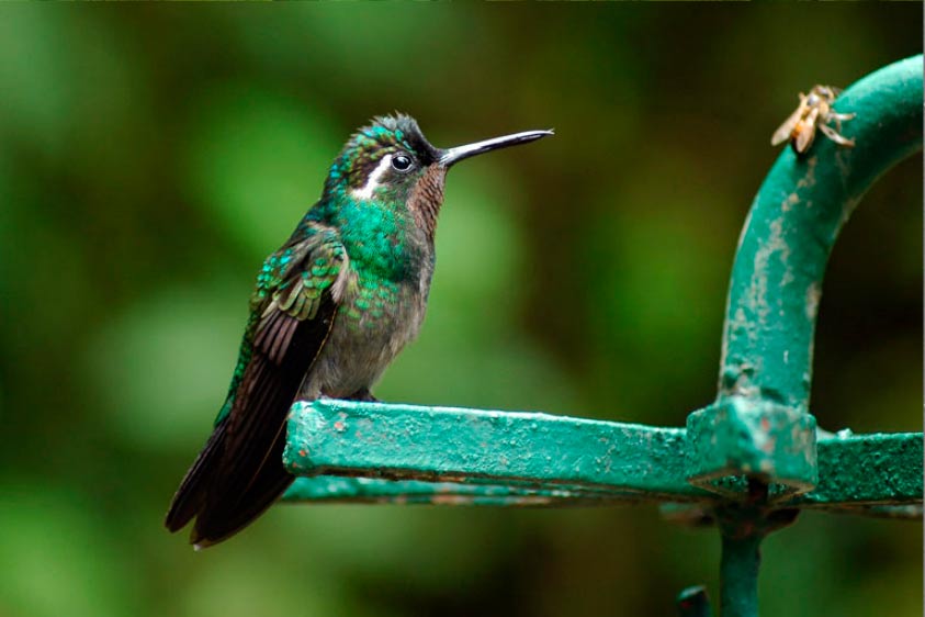 Naturaleza en Costa Rica